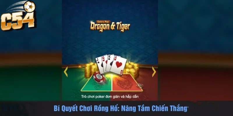 Bí quyết chơi rồng hổ tại C54 nâng tầm chiến thắng